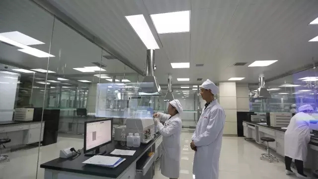 东升国际官网-相信品牌力量