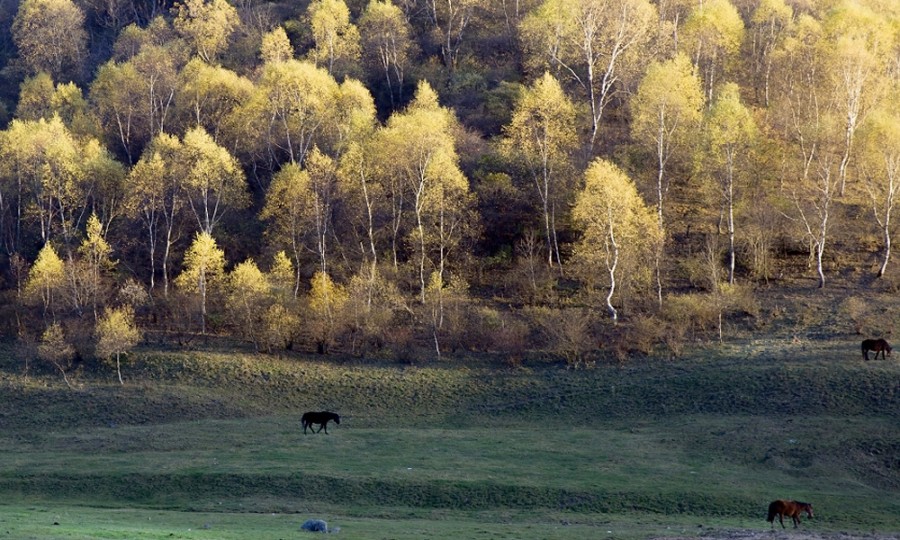东升国际官网-相信品牌力量