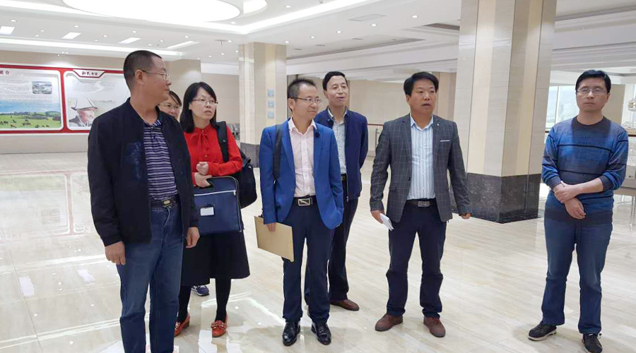 东升国际官网-相信品牌力量