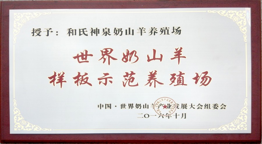 东升国际官网-相信品牌力量