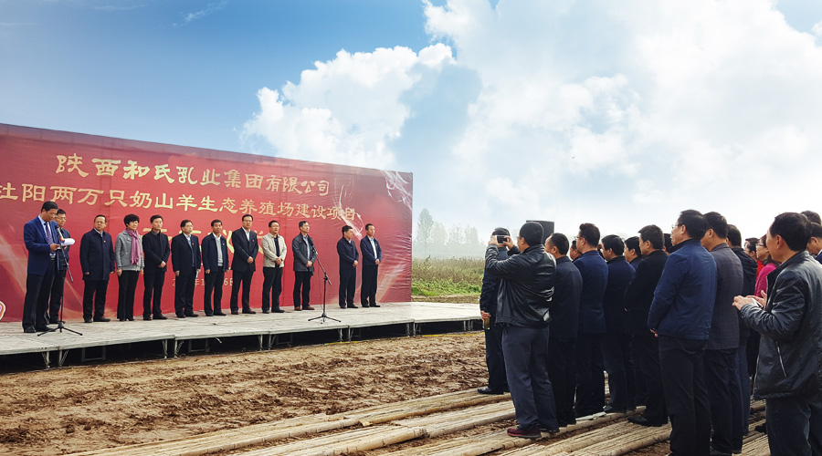 东升国际官网-相信品牌力量