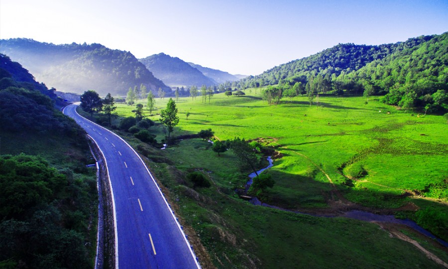 东升国际官网-相信品牌力量