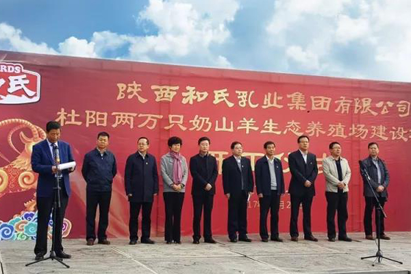东升国际官网-相信品牌力量
