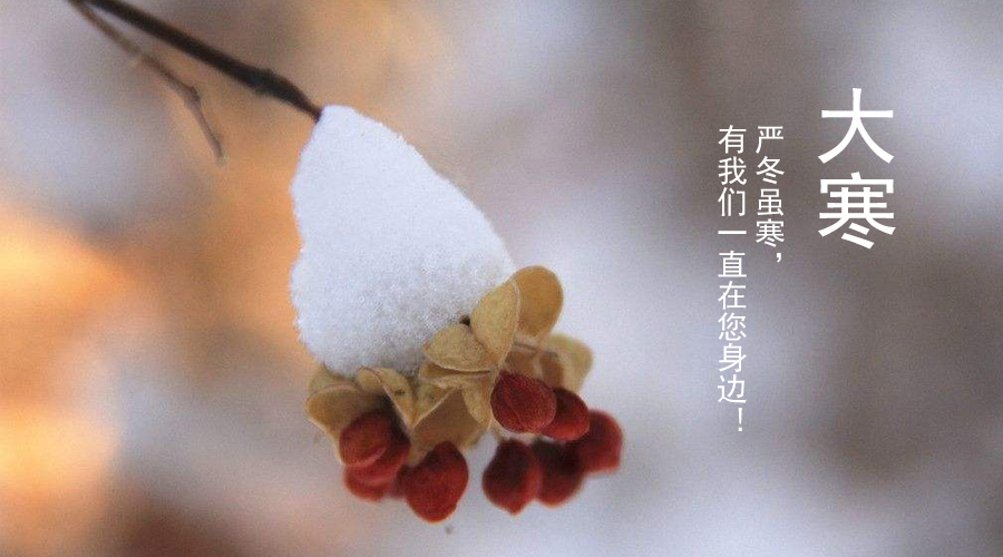 东升国际官网-相信品牌力量