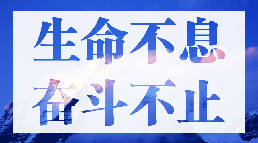 东升国际官网-相信品牌力量