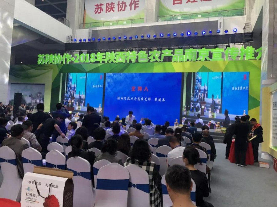 东升国际官网-相信品牌力量