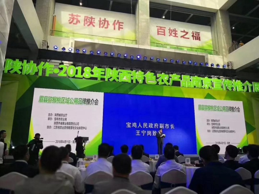 东升国际官网-相信品牌力量