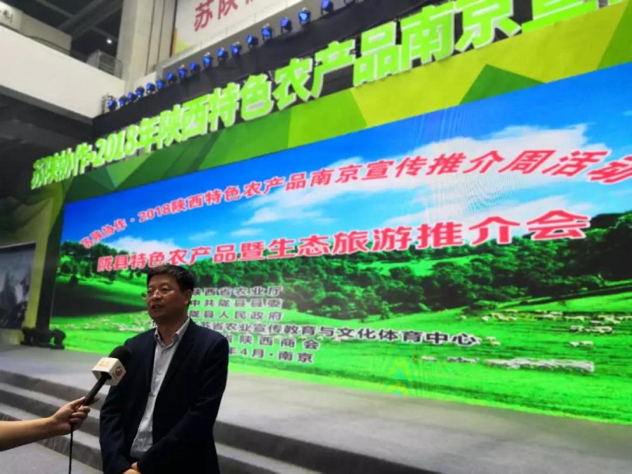 东升国际官网-相信品牌力量