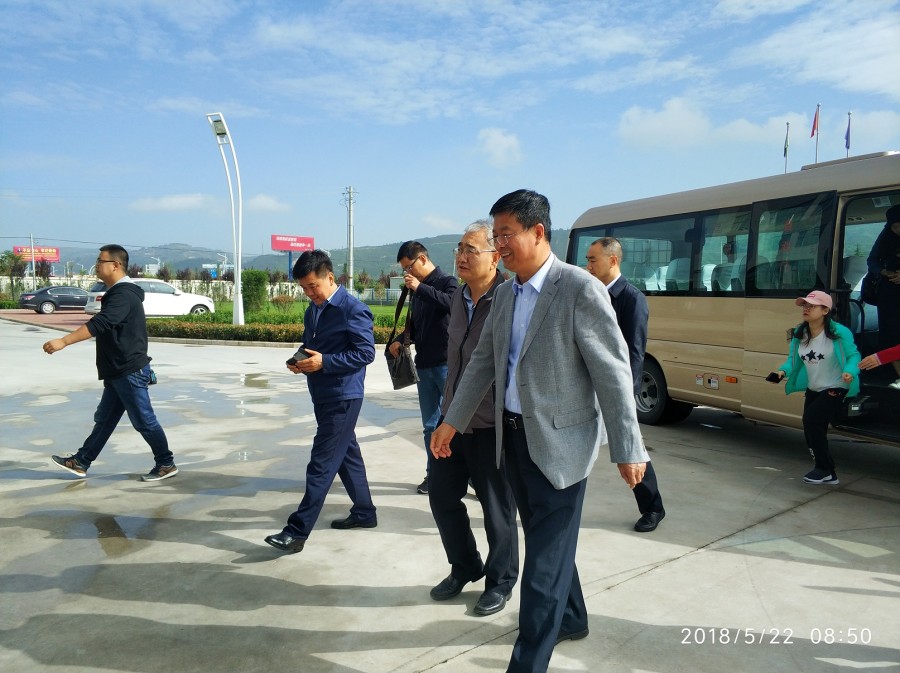 东升国际官网-相信品牌力量