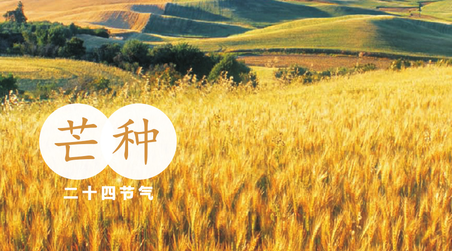 东升国际官网-相信品牌力量