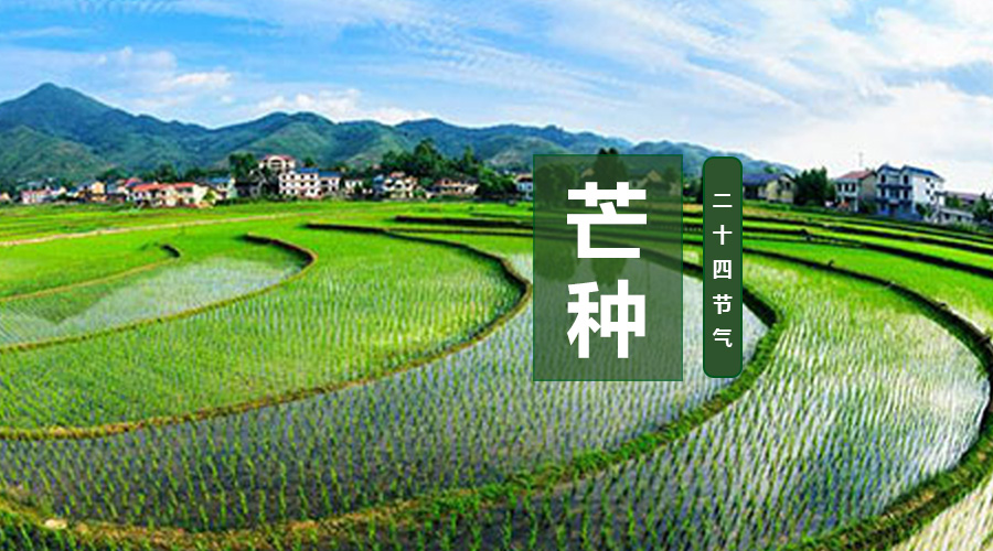 东升国际官网-相信品牌力量
