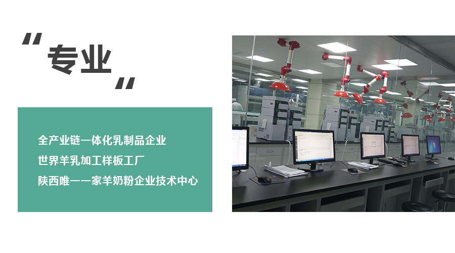 东升国际官网-相信品牌力量