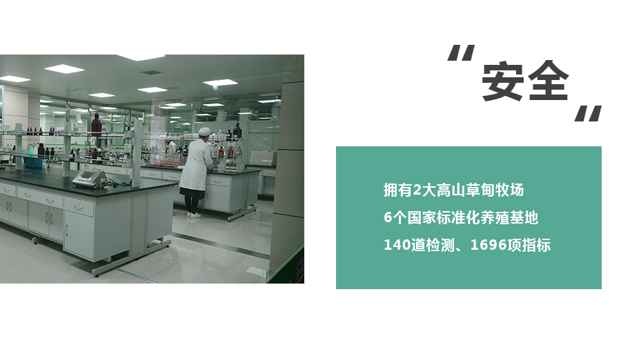 东升国际官网-相信品牌力量