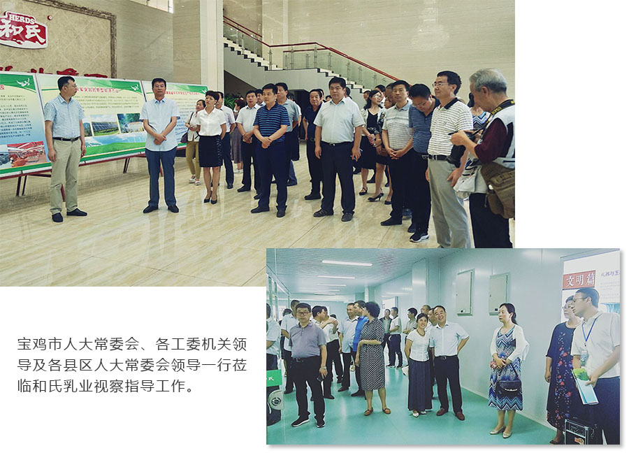 东升国际官网-相信品牌力量