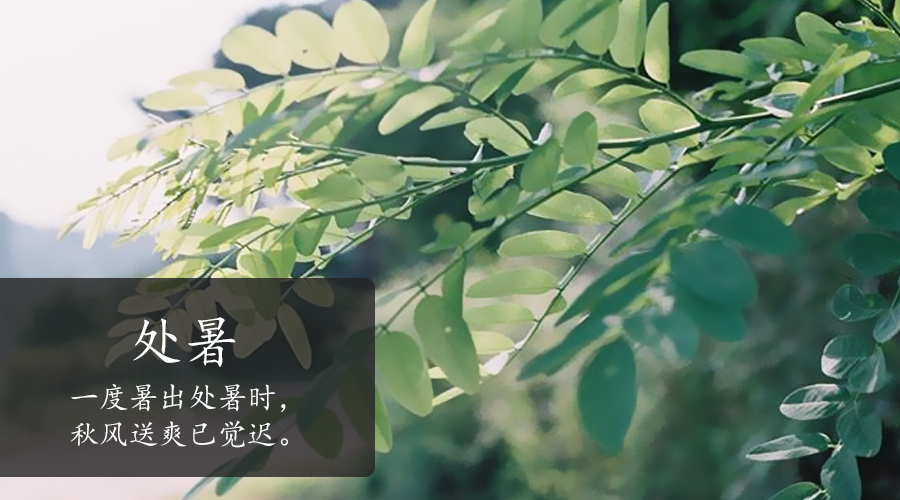 东升国际官网-相信品牌力量