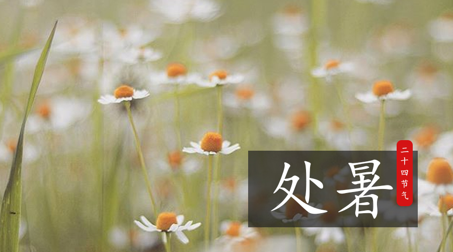 东升国际官网-相信品牌力量