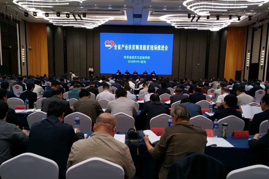 东升国际官网-相信品牌力量