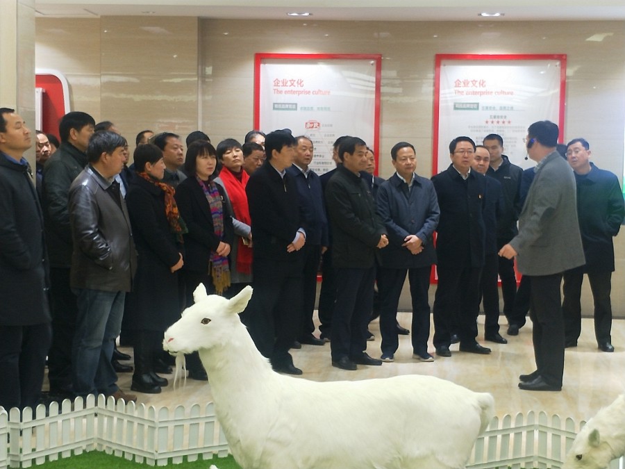 东升国际官网-相信品牌力量
