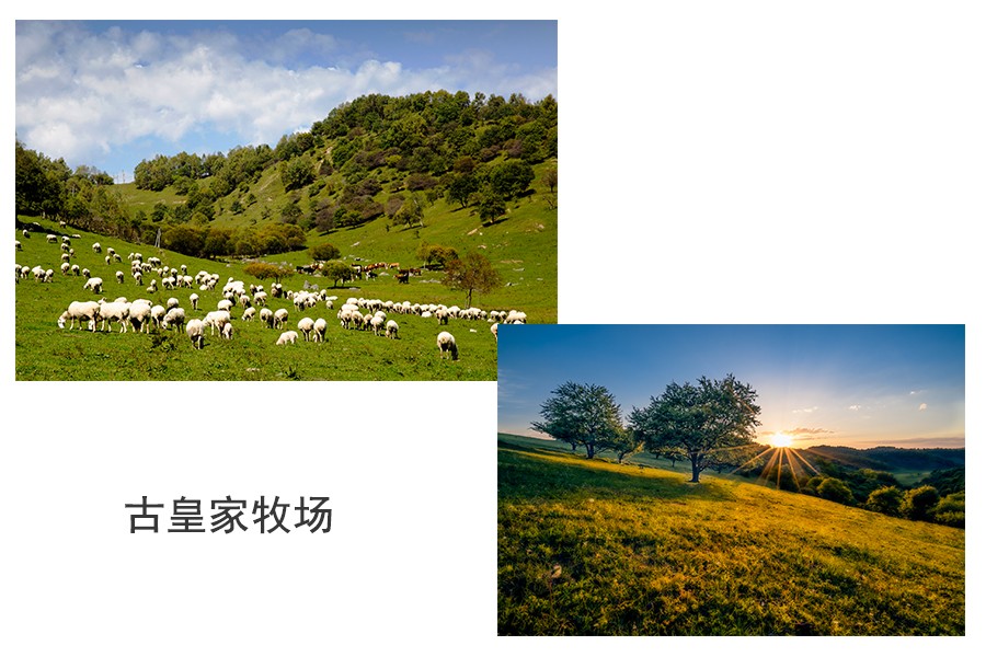 东升国际官网-相信品牌力量