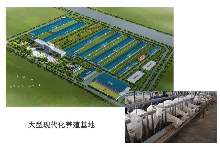 东升国际官网-相信品牌力量