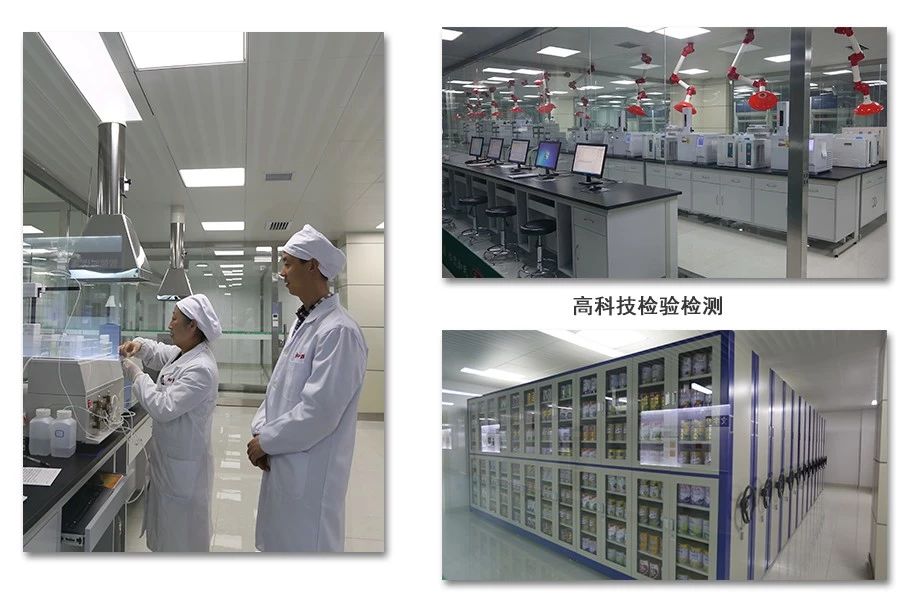 东升国际官网-相信品牌力量