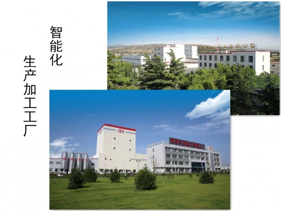 东升国际官网-相信品牌力量
