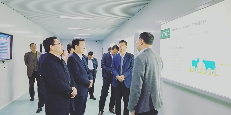 东升国际官网-相信品牌力量