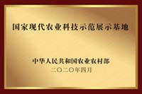 东升国际官网-相信品牌力量