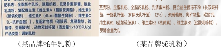 东升国际官网-相信品牌力量