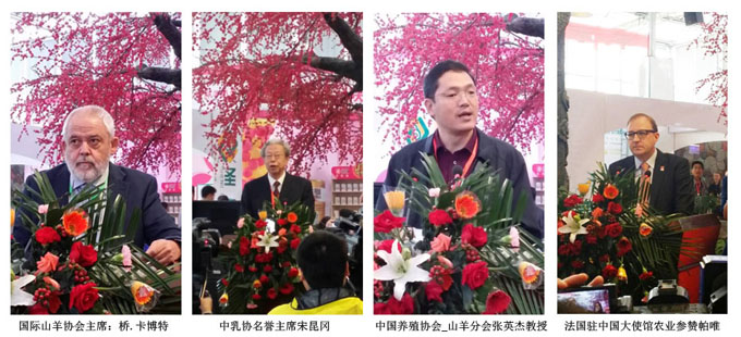 东升国际官网-相信品牌力量