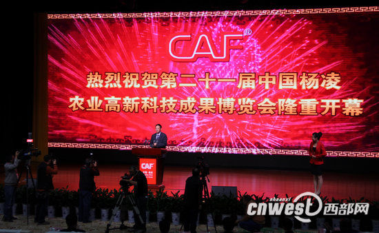 东升国际官网-相信品牌力量