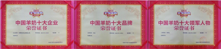 20150113172653_67794 东升国际官网-相信品牌力量