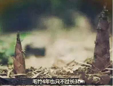 东升国际官网-相信品牌力量