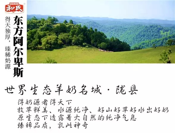 东升国际官网-相信品牌力量